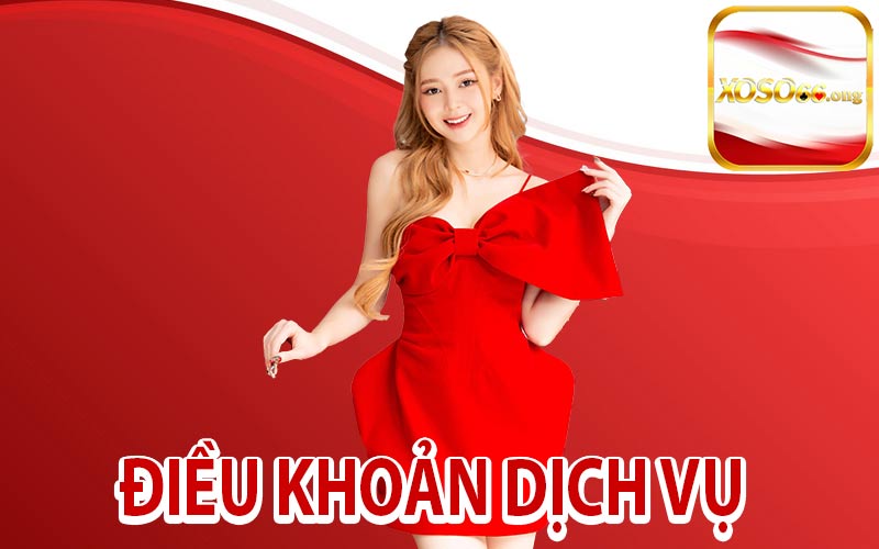 Điều Khoản Dịch Vụ