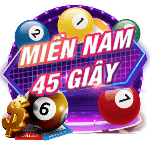 mien nam 45s